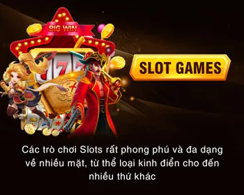 Được cấp phép và quản lý